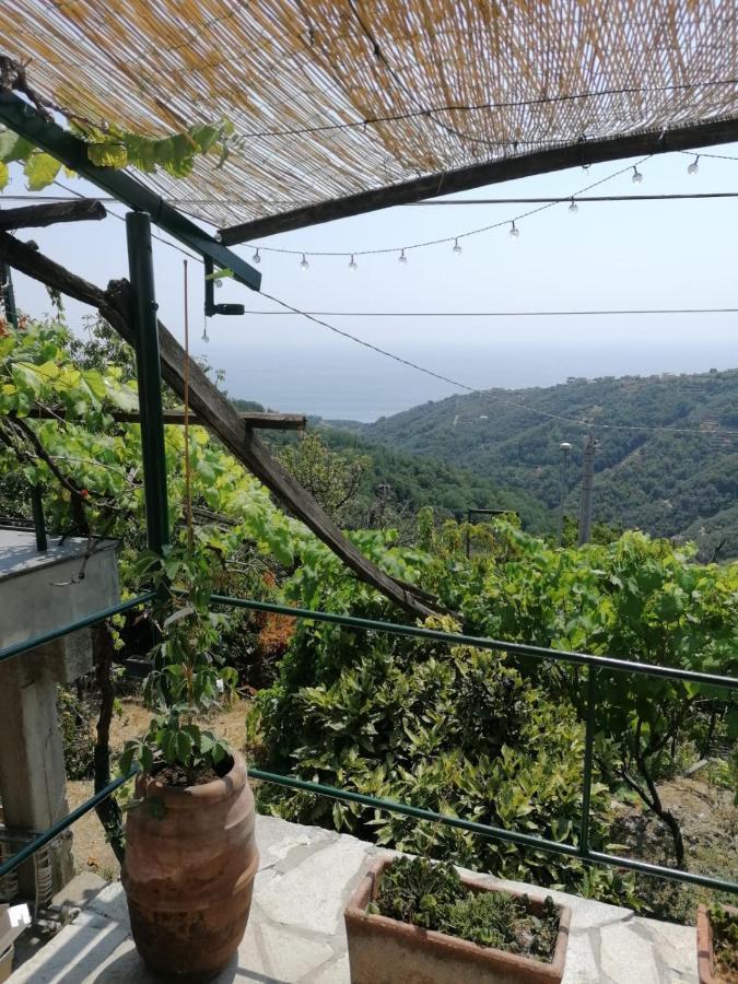 Ca Du Stea Villa Lavagna Ngoại thất bức ảnh