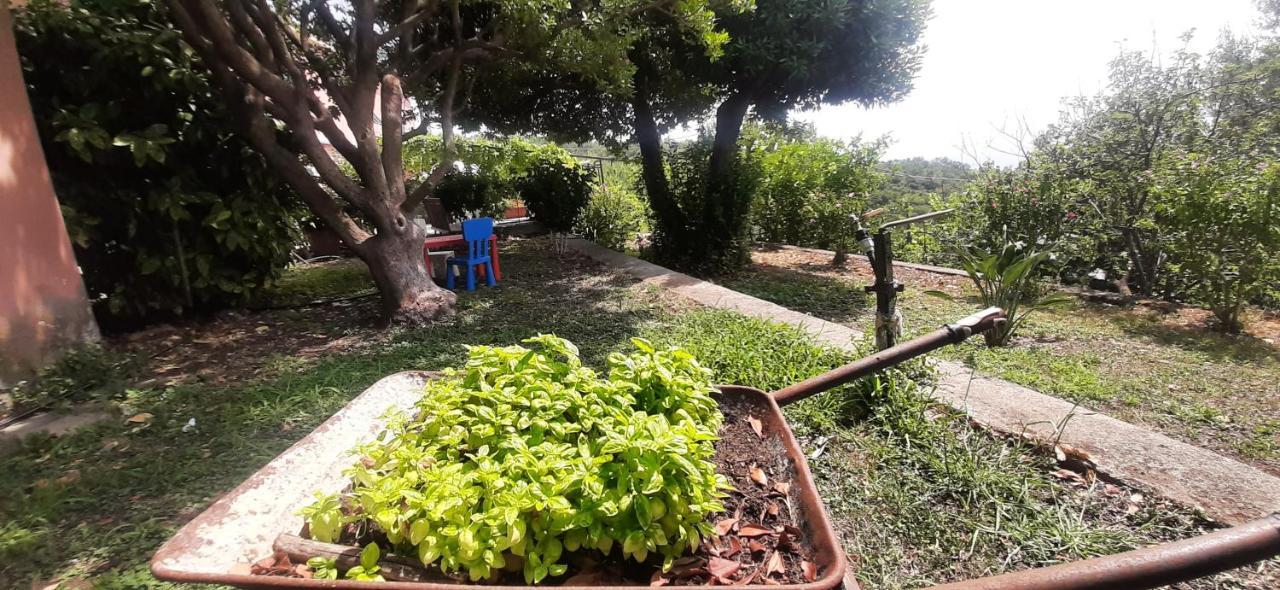 Ca Du Stea Villa Lavagna Ngoại thất bức ảnh