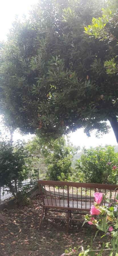 Ca Du Stea Villa Lavagna Ngoại thất bức ảnh