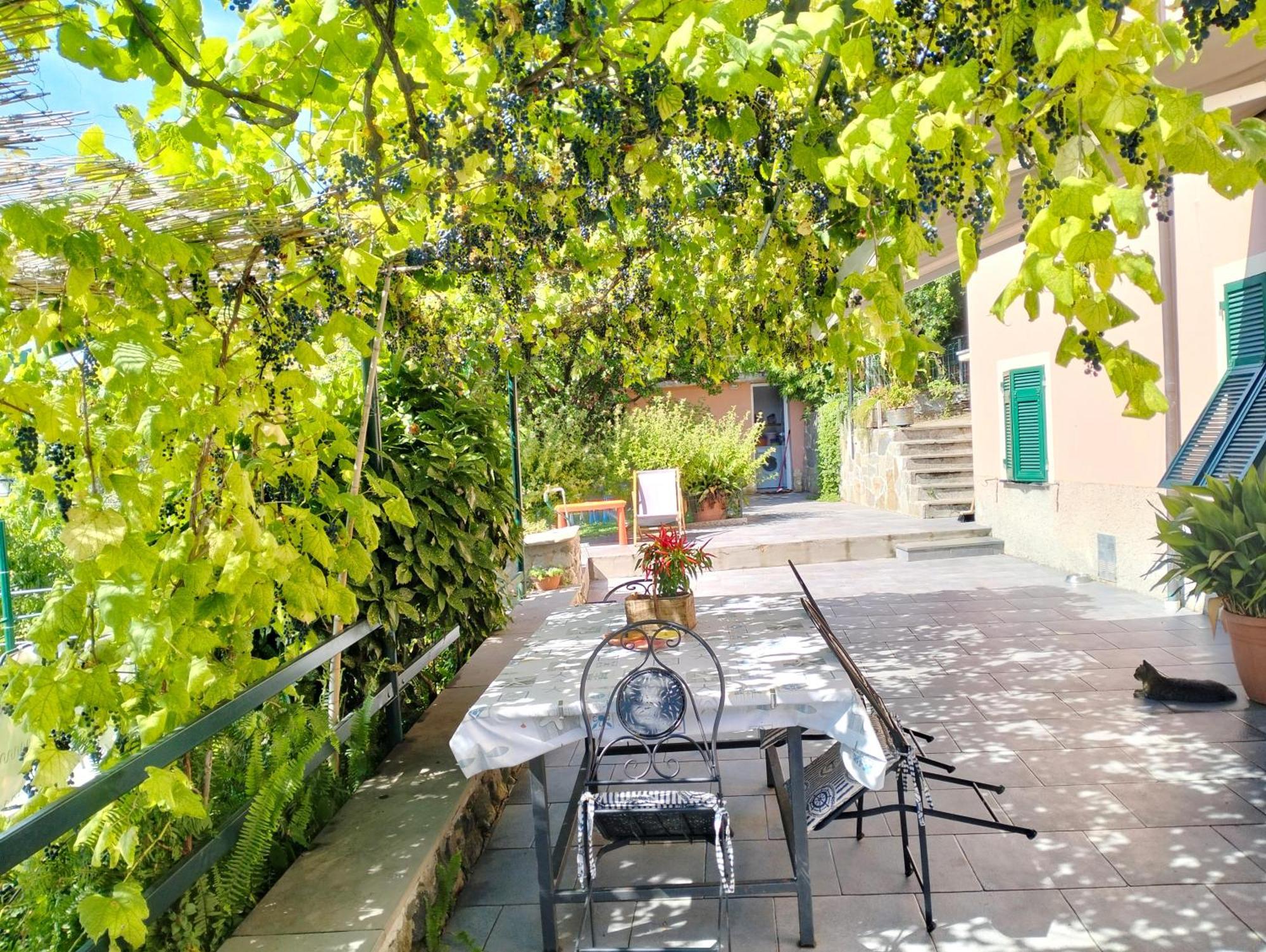 Ca Du Stea Villa Lavagna Ngoại thất bức ảnh