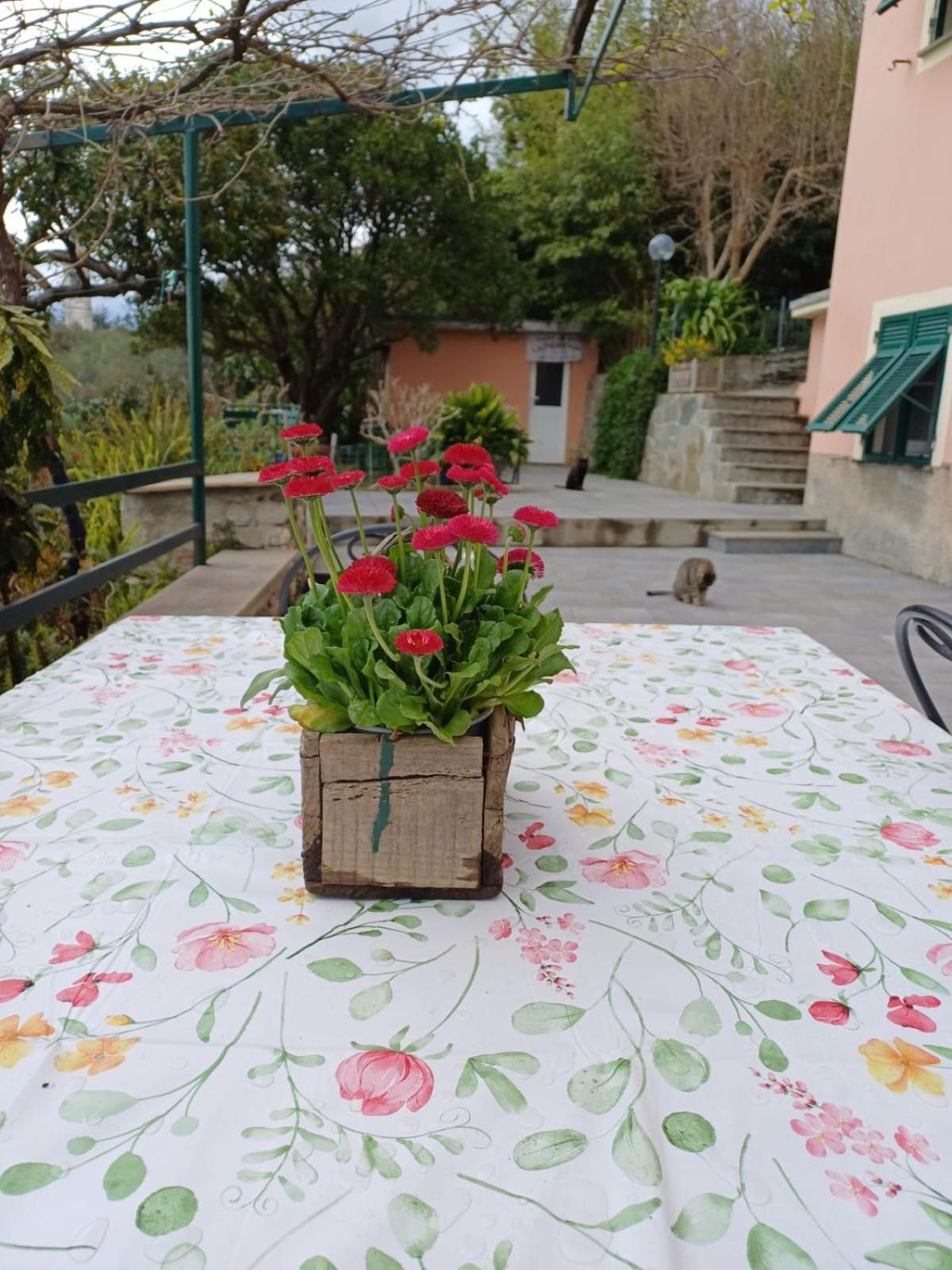 Ca Du Stea Villa Lavagna Ngoại thất bức ảnh